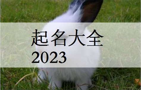 水兔取名|2023水兔宝宝起名